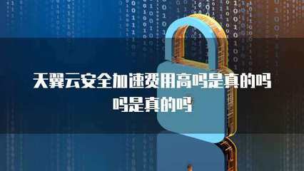 應用加速與互聯網安全服務 費用、安全性與真實性解析