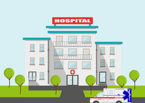 粽香飄揚(yáng)時(shí)，莫忘食安與網(wǎng)安 端午節(jié)雙線風(fēng)險(xiǎn)防范指南